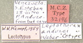 Media type: image; Entomology 32196   Aspect: labels